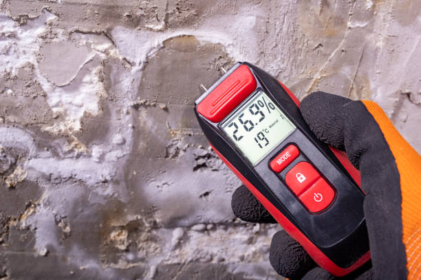 Best Fast Mold Removal  in Altamont, KS