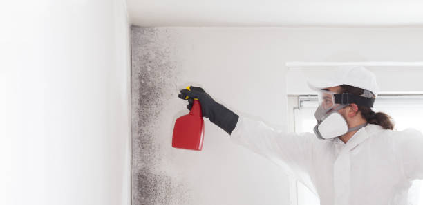 Best Mold Damage Repair  in Altamont, KS