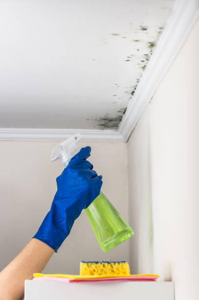 Best Crawl Space Mold Removal  in Altamont, KS